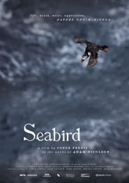 Seabird