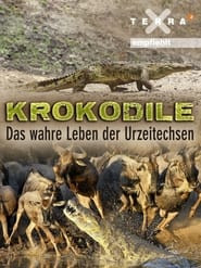 Krokodile - das wahre Leben der Urzeitechsen