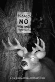 Posted No Hunting