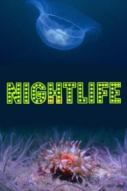 Nightlife