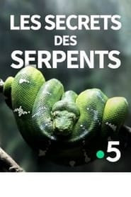 Les secrets des serpents