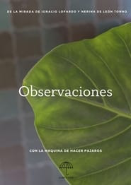 Observaciones