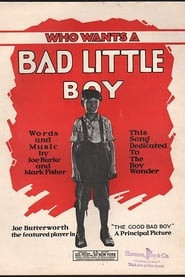 The Good Bad Boy