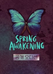 Spring Awakening the Musical in Korea