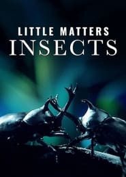 Little Matters: Insects