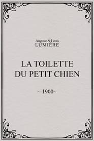 La toilette du petit chien