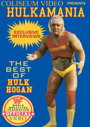 Hulkamania 1