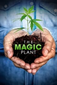 The Magic Plant