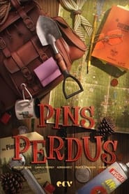 Pins perdus