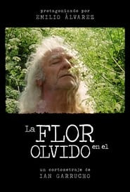 La flor en el olvido