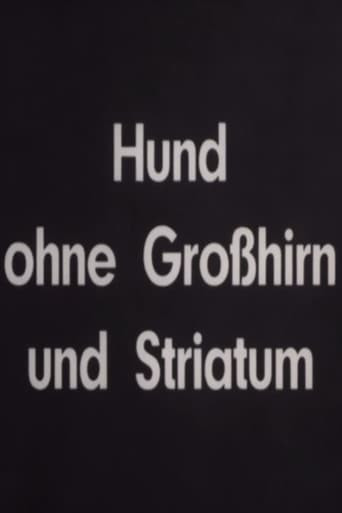 Hund ohne Großhirn und Striatum