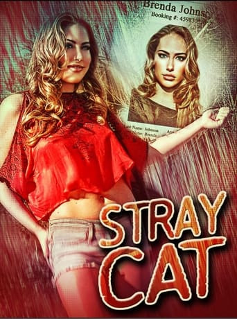 Stray Cat