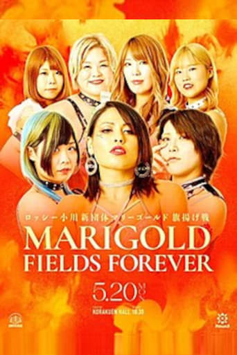 Marigold Fields Forever