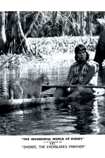 Shokee, the Everglades Panther