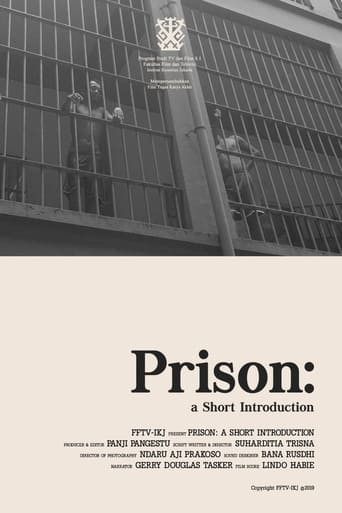 Prison: A Short Introduction