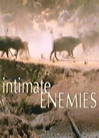 Intimate Enemies