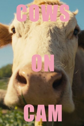 COWS ON CAM
