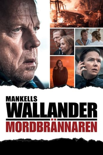 Wallander 31 - The Arsonist