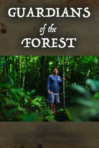 guardians of the forest owl movie