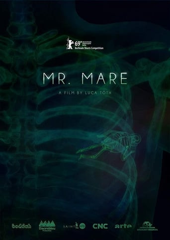 Mr. Mare