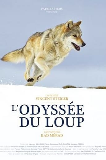 L'odyssée du loup : secrets de tournage