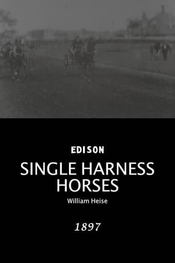 Single harness horses