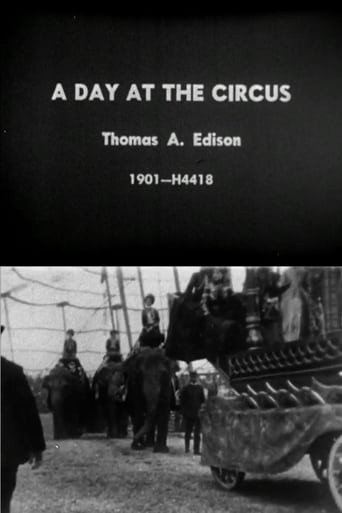 Day at the Circus