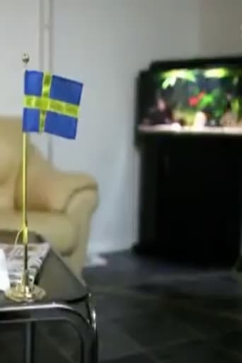 Sverigedemokraterna - vägen till riksdagen