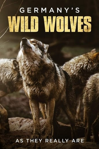 Germany's Wild Wolves - As They Really Are