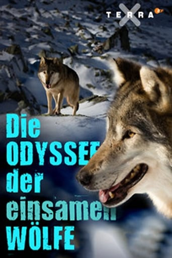 Die Odyssee der einsamen Wölfe