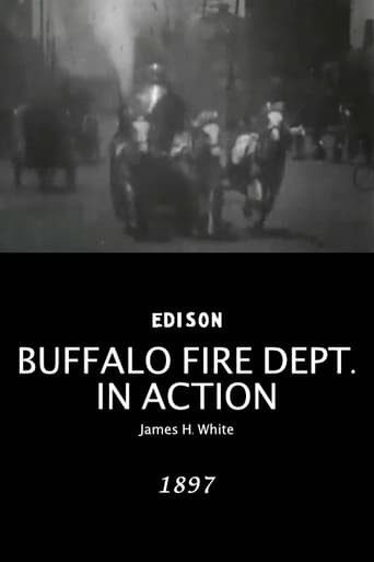 Buffalo Fire Department in Action