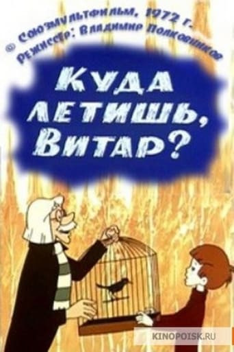 Куда летишь, Витар