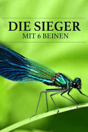 Die Sieger mit 6 Beinen