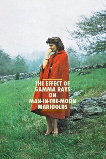 The Effect of Gamma Rays on Man-in-the-Moon Marigolds