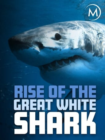 Rise Of The Great White Shark