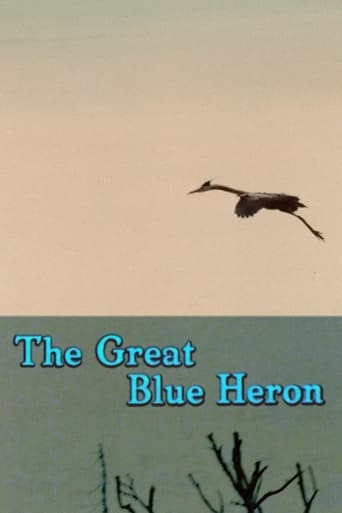 The Great Blue Heron