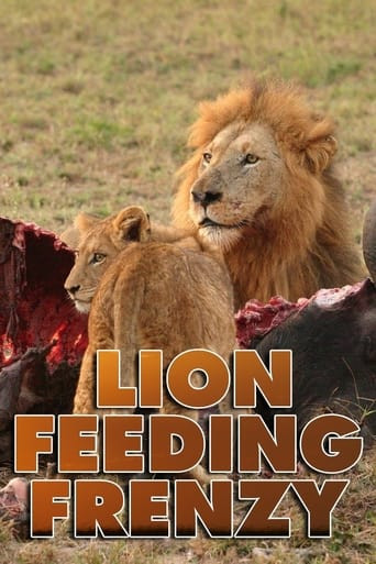 Lion Feeding Frenzy