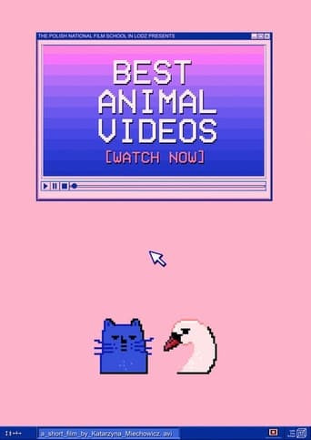 BEST ANIMAL VIDEOS [WATCH NOW]
