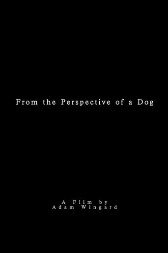 From the Perspective of a Dog