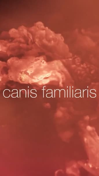 Canis familiaris