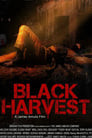 Black Harvest