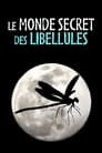 Le Monde secret des libellules