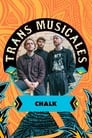 Chalk en concert aux Trans Musicales de Rennes 2023