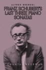 Franz Schubert’s last three piano sonatas