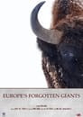 Europe´s Forgotten Giants