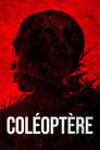 Coléoptère