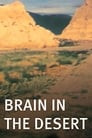 Brain in the Desert
