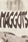 Maggots