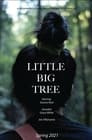 Little Big Tree