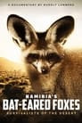 Namibia's Bat-eared Foxes: Survivalists of the Desert